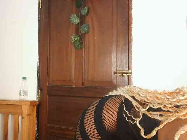 VelvetDesire webcam