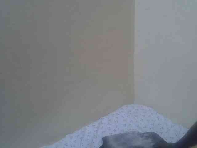 Blacklizy4 webcam