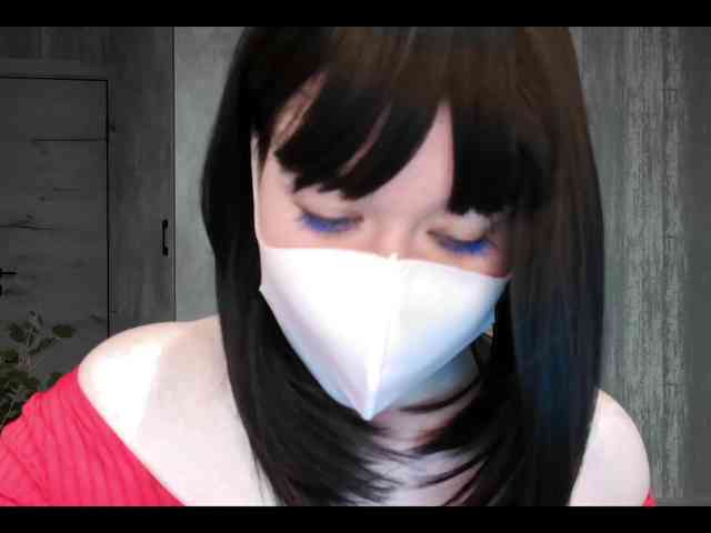 LISSIS-MISSIS webcam