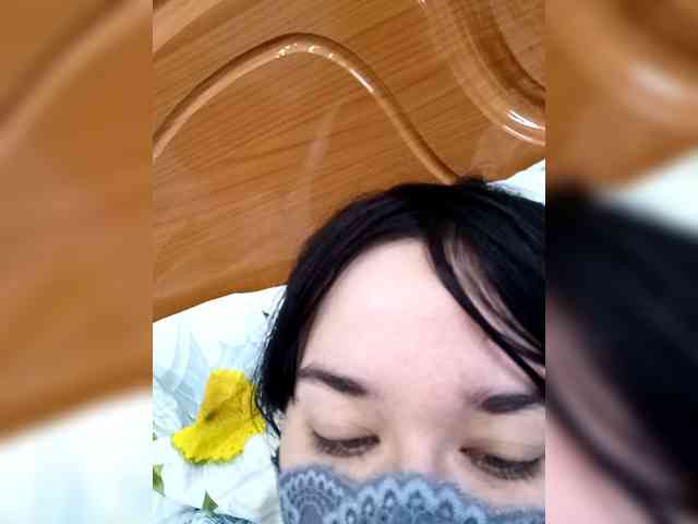 LISSIS-MISSIS webcam