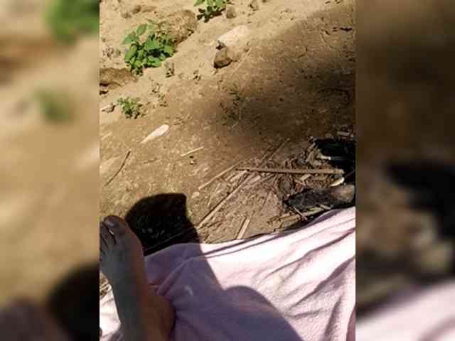 LISSIS-MISSIS webcam