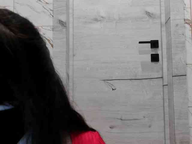 LISSIS-MISSIS webcam