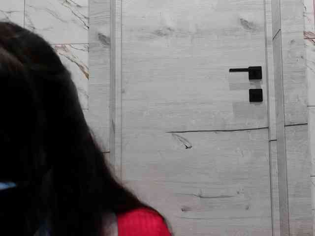 LISSIS-MISSIS webcam