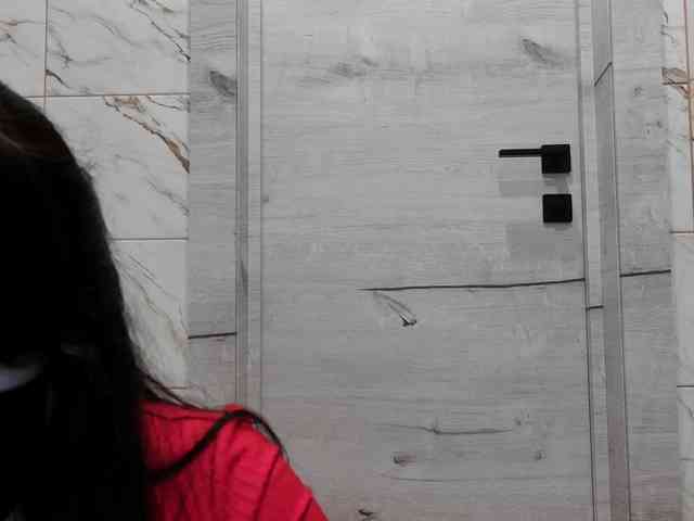 LISSIS-MISSIS webcam