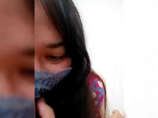 LISSIS-MISSIS webcam