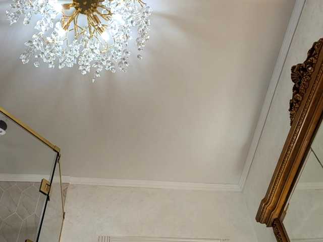 Preview of seeshellman