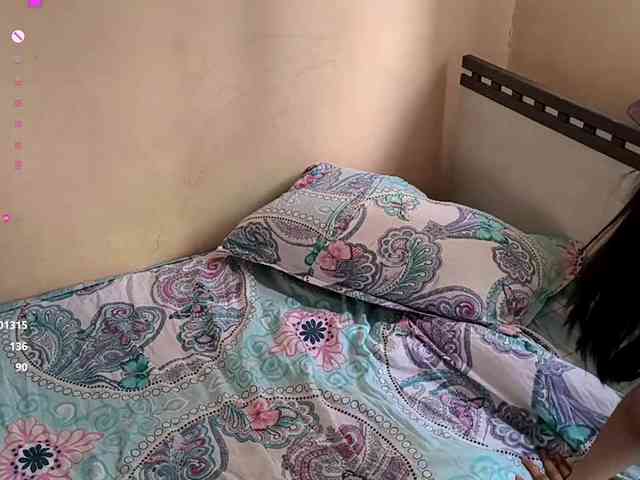 SeeShellman webcam