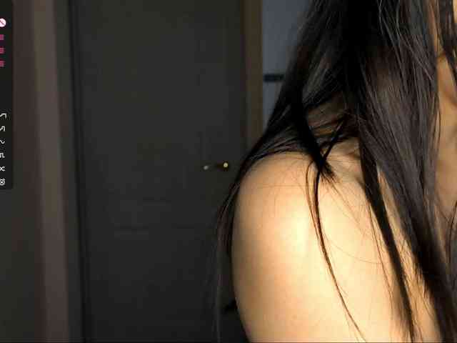 SeeShellman webcam