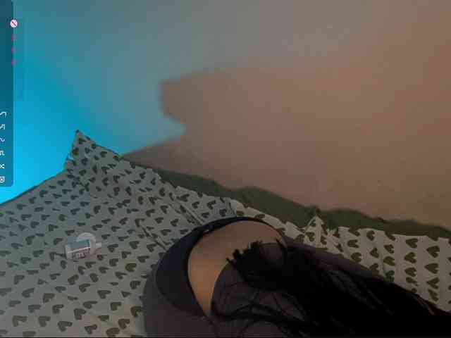 SeeShellman webcam