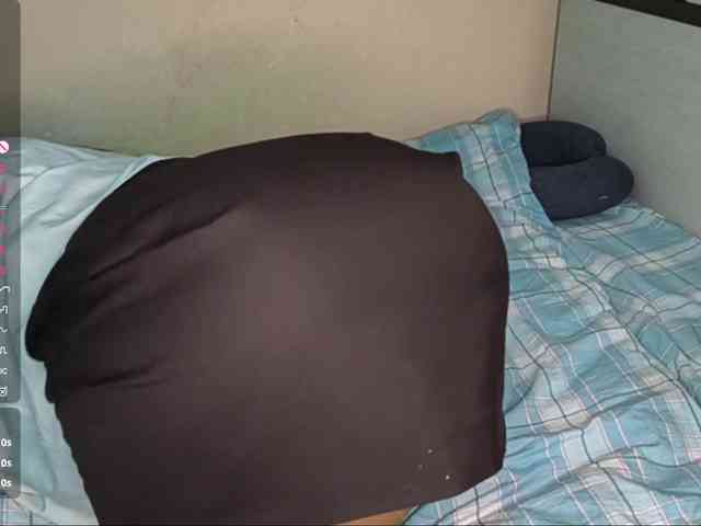 SeeShellman webcam