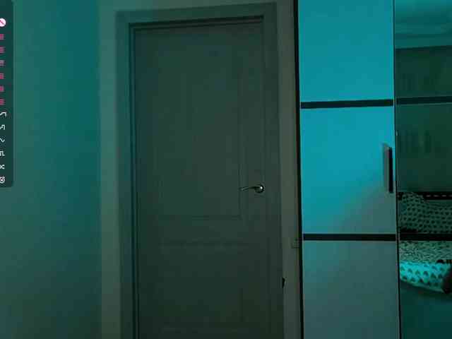 SeeShellman webcam