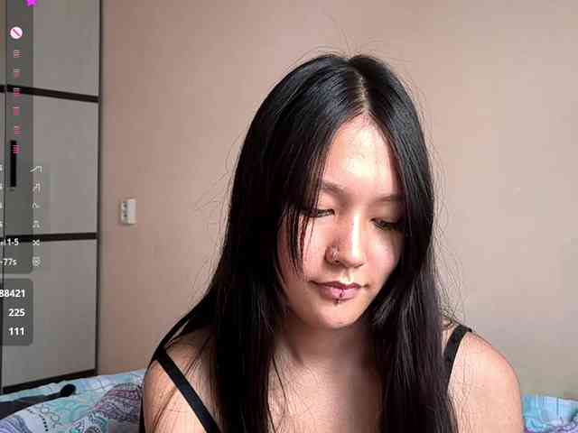 SeeShellman webcam