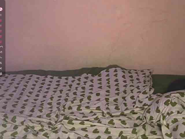 SeeShellman webcam