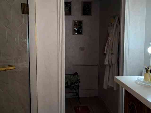 free online chatroom SeeShellman