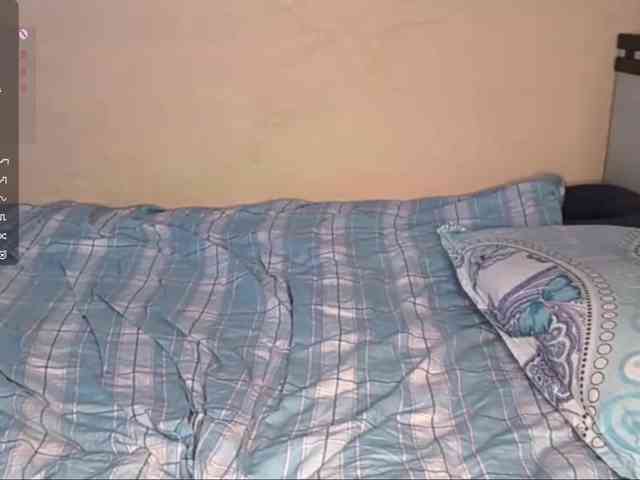 SeeShellman webcam