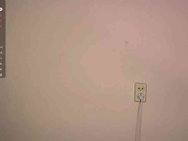 SeeShellman webcam