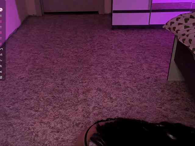 SeeShellman webcam