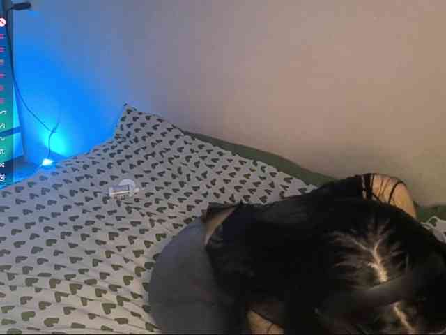 SeeShellman webcam