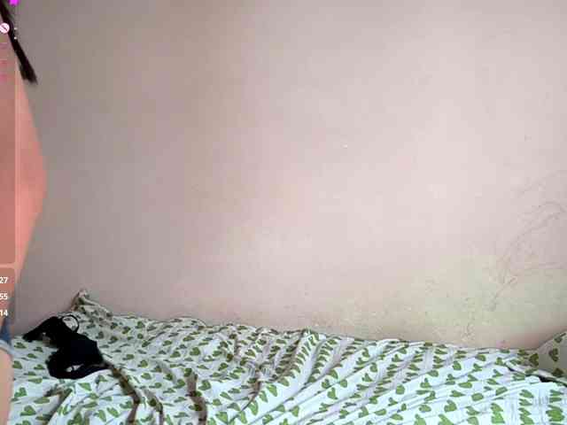 SeeShellman webcam