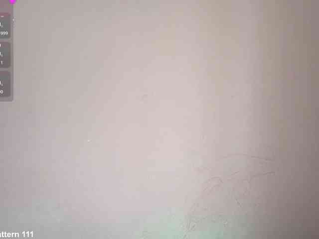 SeeShellman webcam
