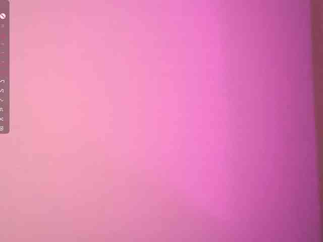SeeShellman webcam
