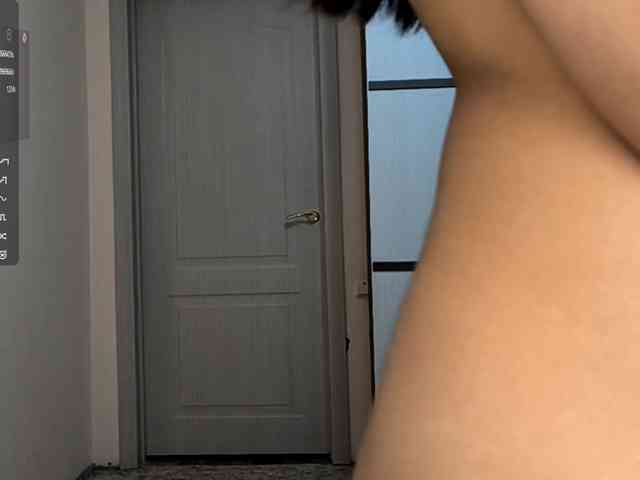 SeeShellman webcam