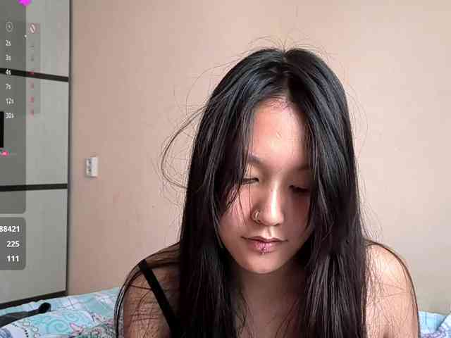 SeeShellman webcam
