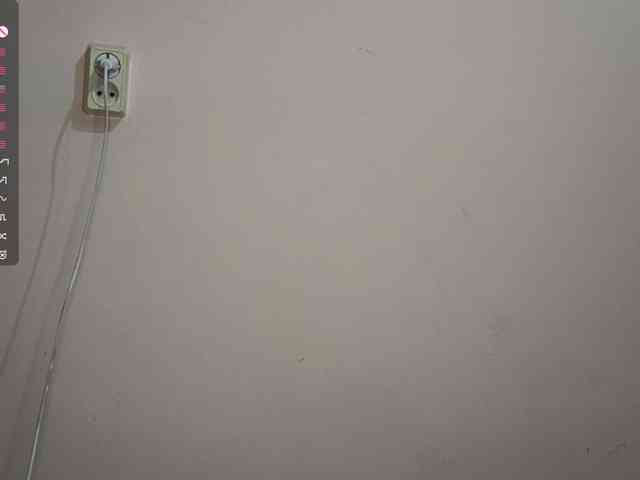 SeeShellman webcam