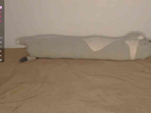 SeeShellman webcam