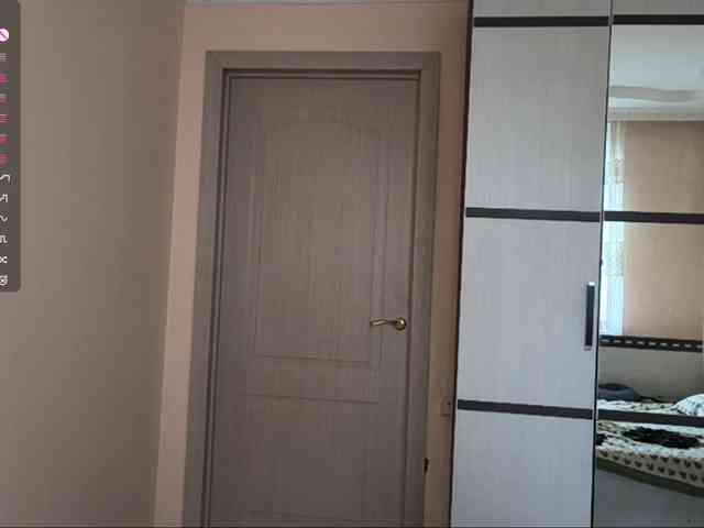 SeeShellman webcam