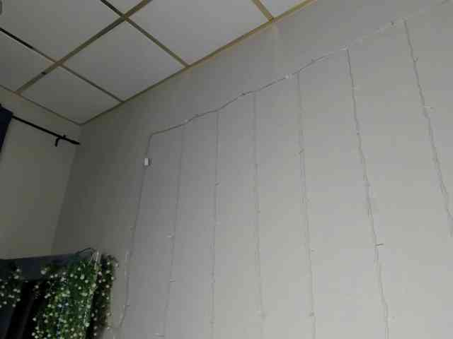 Maya-Raay webcam