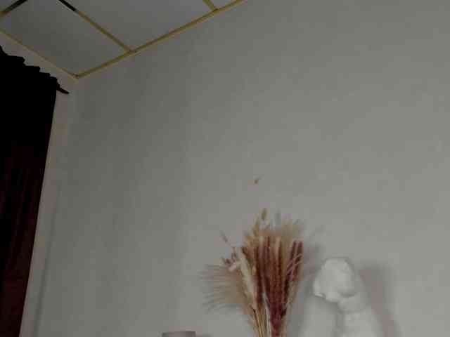 Maya-Raay webcam