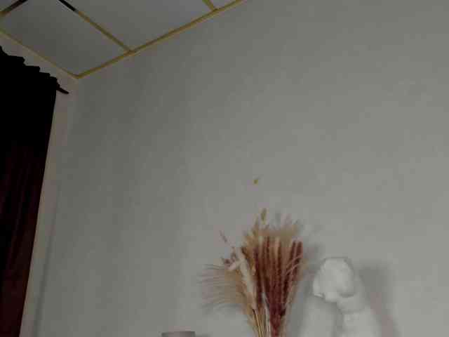 Maya-Raay webcam