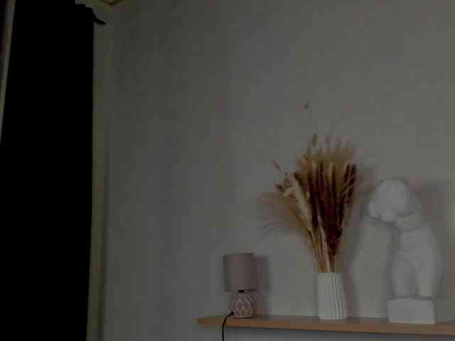 Maya-Raay webcam