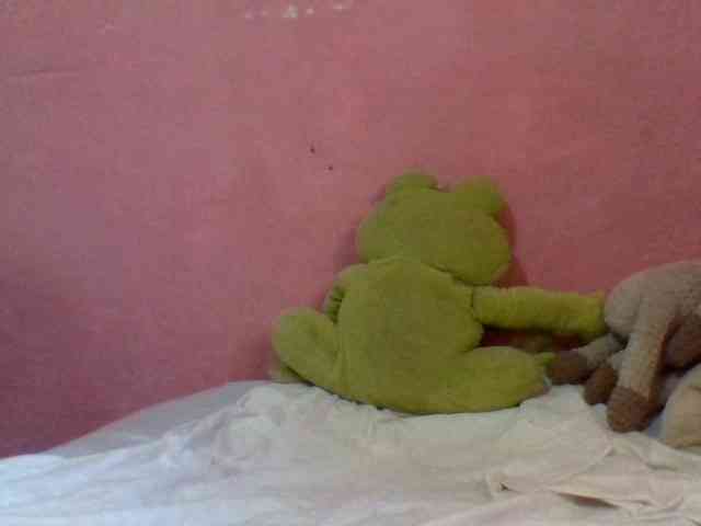 Chacha5 webcam