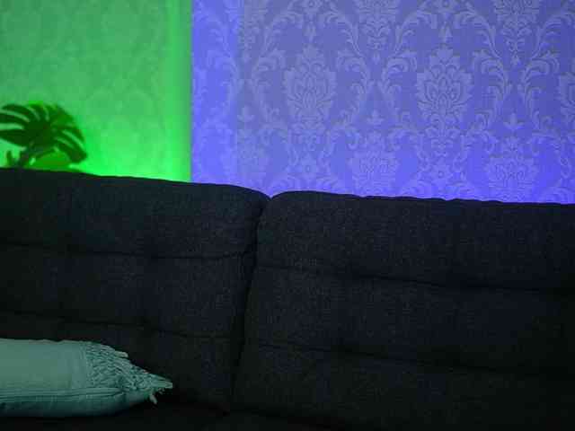 AriaPlay webcam