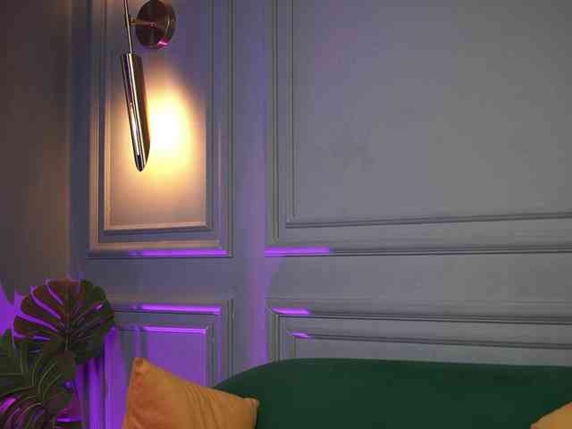 AriaPlay webcam