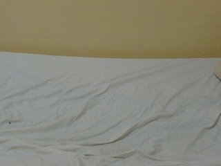 Petitebunni's Live Webcam