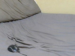 Petitebunni
