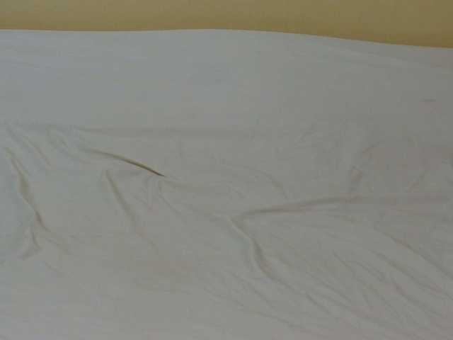 Petitebunni live cam on BongaCams