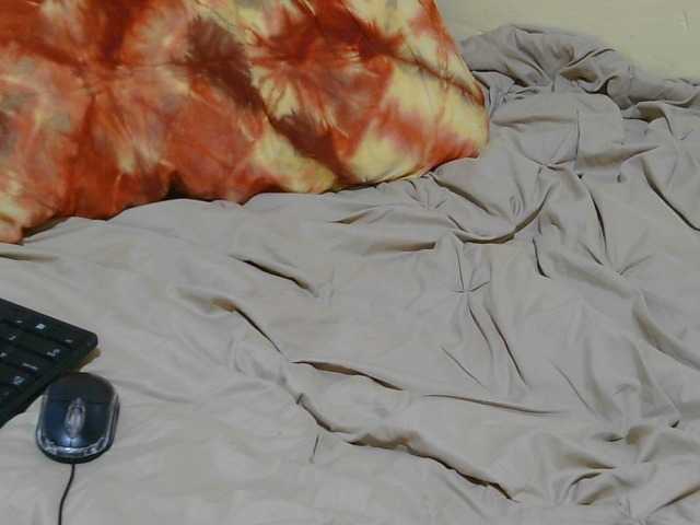 Petitebunni live cam on BongaCams