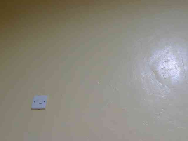Petitebunni webcam