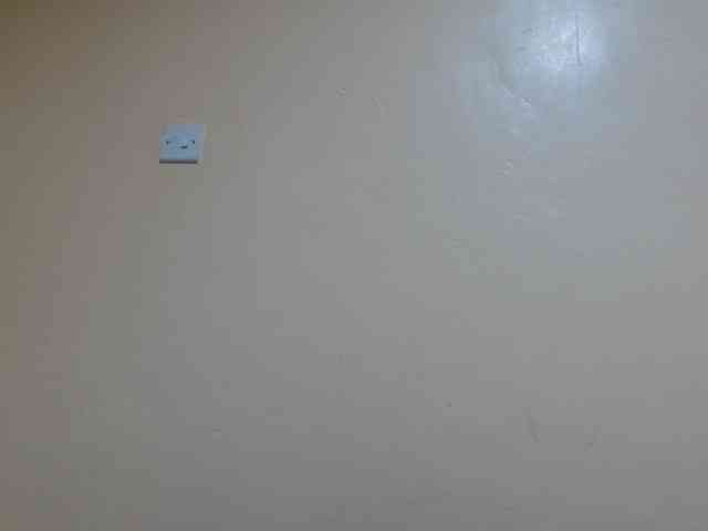 Petitebunni webcam