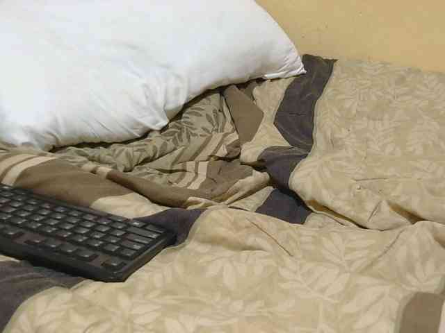 Petitebunni webcam