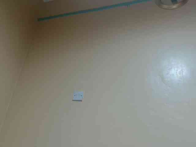 Petitebunni webcam