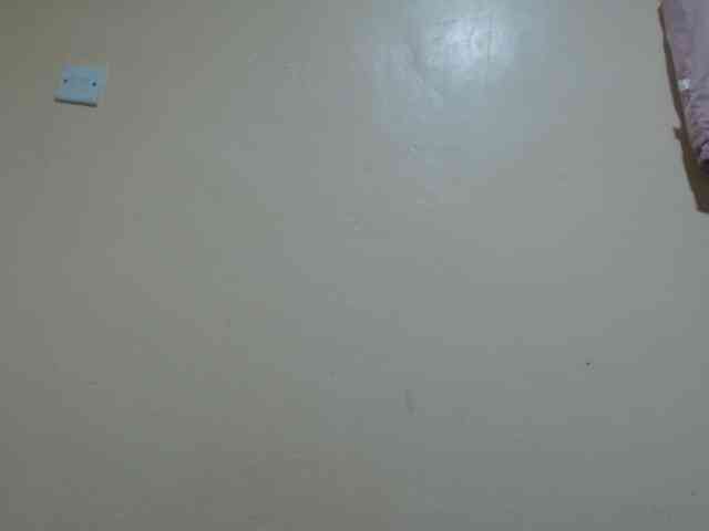 Petitebunni webcam