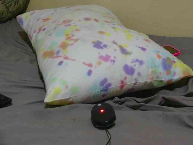 Petitebunni webcam
