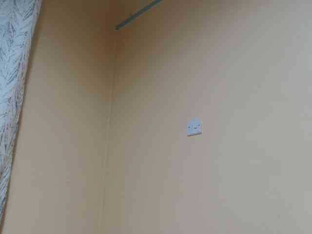 Petitebunni webcam