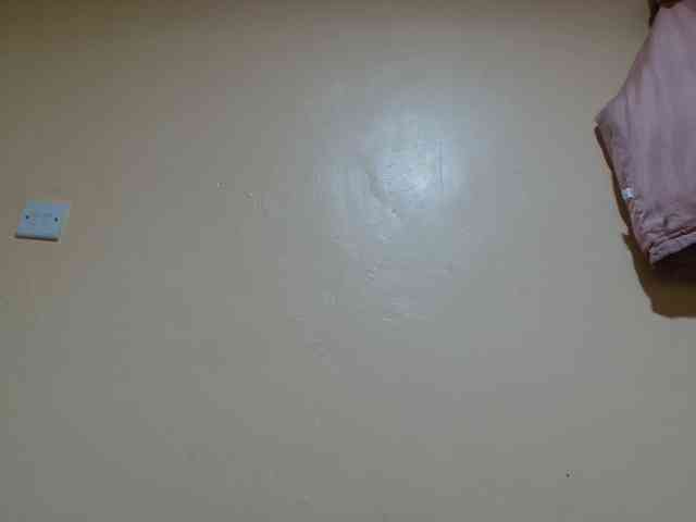 Petitebunni webcam
