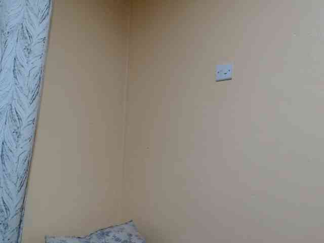 Petitebunni webcam